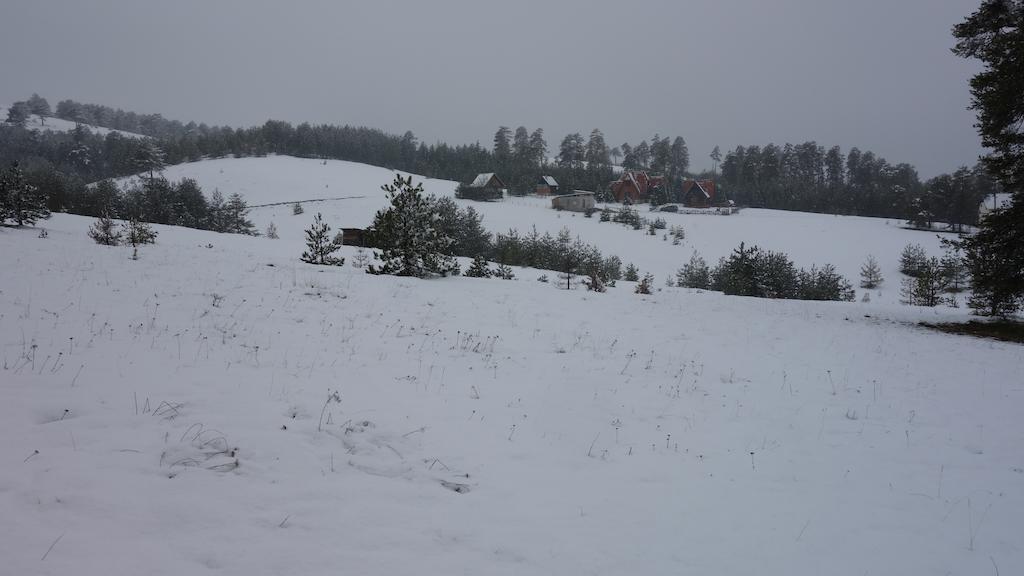 Villa Ducic Zlatibor Exterior foto